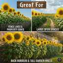 2 x 394+ Giant Mammoth Sunflower Seeds for Planting, Pack for 2027 USA Premium Non-GMO Flower Seeds - Bulk Packet, Heirloom, High Germination, Helianthus annuus (EXP 12/31/27)