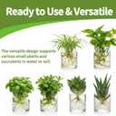 Wall Mounted Hydroponic Plant Grow Light, Indoor Hydroponic Plant Vase with LED Light,Suitable for Home Office,Living Room Wall Decoration, Ideal Gift for Housewarming and Holidays
