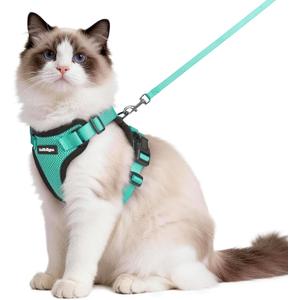rabbitgoo Cat Harness and Leash for Walking, Escape Proof Soft Adjustable Vest Harnesses for Cats, Easy Control Breathable Reflective Strips Jacket, Emerald, M