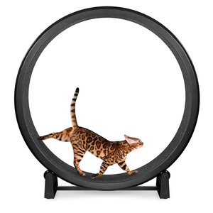 Cat Exercise Wheel for Indoor Cats, 45'' ABS Cat Wheel Exerciser Quiet Cats Treadmill with Pedometer, Small Animal Running Wheels for Weight Loss and Health Black