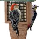 Kingsyard Recycled Plastic Suet Feeder, Tail Prop Suet Feeder for Outside Hanging, Sturdy & Durable, Great for Woodpecker & Clinging Birds, Green
