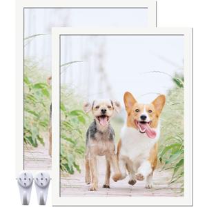 14x18 Picture Frame Set of 2, White Photo Frames High Transparent Wall Gallery Desktop Horizontal Vertical for Canvas Collage Photo Poster Certificate 14 x 18 inches