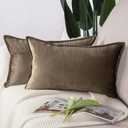 MADIZZ Set of 2 Super Soft Velvet Decorative Throw Pillow Covers 12x20 inch Brown Rectangular with Fringe Luxury Style Cushion Case Pillow Shell for Sofa Bedroom (20" x 12" (Pack of 2), Brown)
