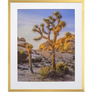 Gold 20x24 Picture Frame – Wall Hanging Poster Frame, 1-Pack