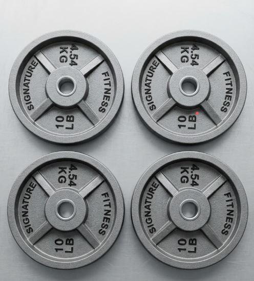 Fitvids standard Cast Iron 1-inch Weight Plate for Strength Training & Weightlifting, 10LB Set of 4