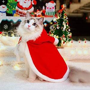 WeeH Dog Clothes for Christmas Cat Xmas Holiday Costume Red Christmas Cape Hooded Cloak Winter Outwear Medium