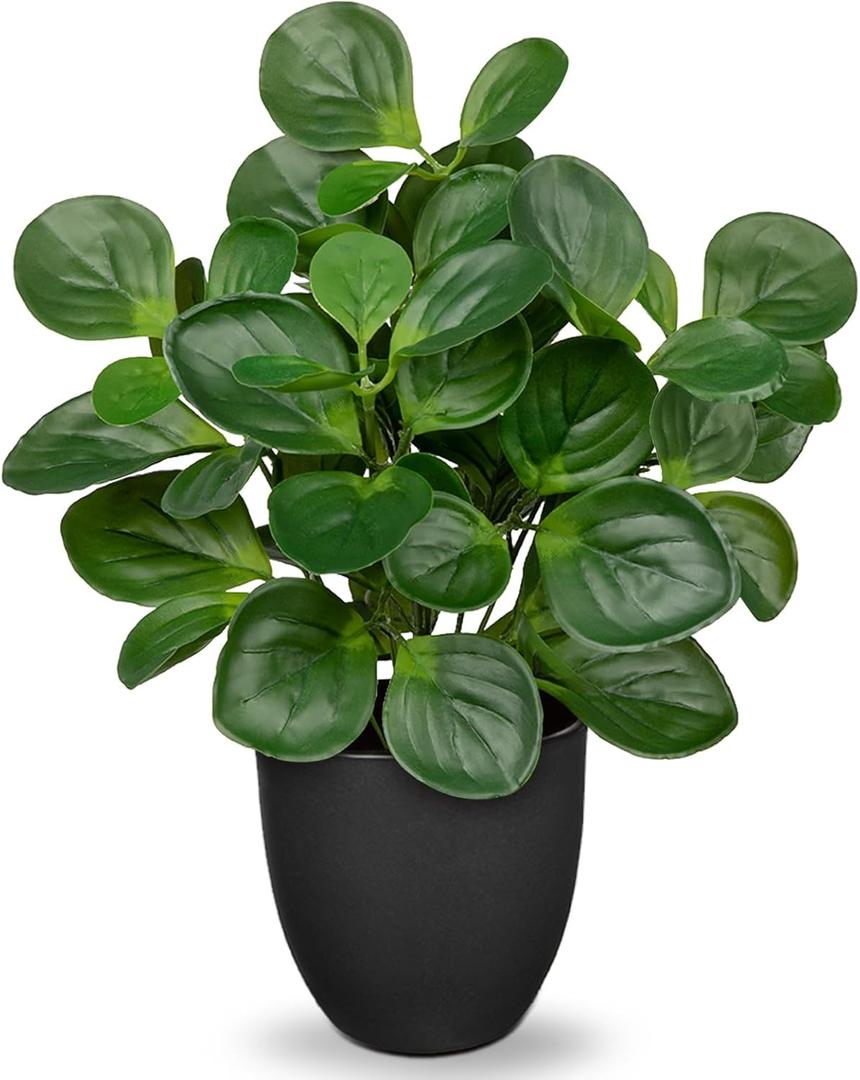 14.5" Artificial Plants Indoor Home Decor, Fake Potted Silk Plants for Shelves Living Room Decorative, Small Artificial Office Desk Plants in Pots, Faux Peperomia Hope Tropical House Plant (# Total Green)