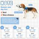 Protective Blind Dog Halo Collar, Adjustable Blind Dog Halo with Protective Ring, Lightweight Safety Collar Navigation Assistance for Visually Impaired Pets (9-13in)