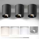 OKELI Black Modern LED Dimmable Ceiling Light Fixtures for Hallway Kitchen Entryway, 20W 1300LM 2700K-6000K Flush Mount Close to Ceiling Lighting, Cylinder Ceiling Lamps for Living Room 3pack