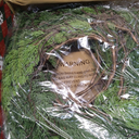 9 FT Christmas Cedar Garland, Thick Green Cypress Garlands, Real Touch Pine Garlands, Realistic Garland Christmas Decorations for Outdoor Indoor Table Mantel Railing Stair Porch Decor (Style-2)