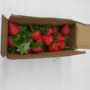 CLESDF 60Pcs Fake Strawberries, Artificial Lifelike Strawberry Plastic Strawberries red Strawberries for Home Kitchen Party Decor Photography Prop
