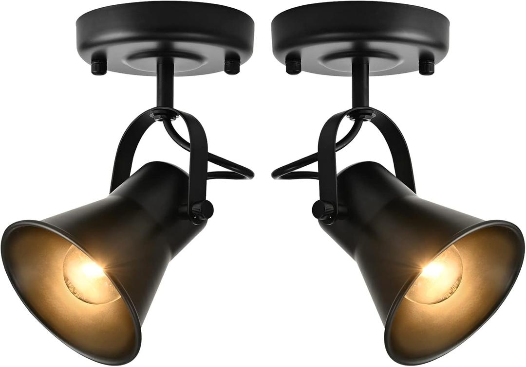 SEEBLEN Track Light Modern Ceiling Spot Lighting Indoor, Adjustable Wall Mount Accent Light,for Bedroom Living Room Hallway Kitchen Painting(2 Pack)