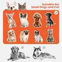 AZV Dog Chairs with Folding Ramps for Bed,Seat Stairs Mate for Small Dogs | Non Slip Steps for Puppy Cats Pets to Get on High Bed with Platform Doggie Office Window Perch Doggy Couch,Dachshunds Ladder