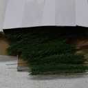 Lyrow 100 Pcs Artificial Pine Branches Green Pine Needles Fake Greenery Christmas Picks Floral Christmas Wreath Decorations Holly Red Berry Stems for Winter Holiday DIY Garland Home Garden Decor