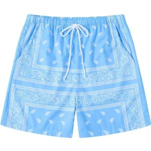 Men's Paisley Print Graphics Shorts Drawstring Waist Casual Boho Tribal Print Summer Shorts with Pockets (Blue, L)
