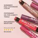 Burt's Bees Shimmer Lip Tint Set, Mothers Day Gifts, Tinted Lip Balm Stick, Moisturizing for All Day Hydration with Natural Origin Glowy Pigmented Finish & Buildable Color, Caramel (4-Pack)