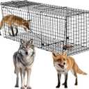 Heavy Duty Coyote Trap 59 Inch,Humane Live Animals Trap for Dogs, Coyotes, Bobcats, Foxes and Other Similar Size Animails.Extra Large and More Sturdy Cage