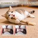 2 x TEAWOO 3 Pcs Natural Silvervine Sticks Cat Toys, Catnip & Matatabi Blend Dental Chew Toys, Teeth Cleaning Kitty Toys for Indoor Cats & Kittens, Edible Chew Sticks for Aggressive Chewers