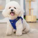 AIITLE Step in Dog Harness and Leash Set - No Pull Escape Proof Vest Harnesses with Soft Mesh and Reflective Bands, Adjustable Pet Outdoor Harnesses for Medium Dogs Royal Blue M