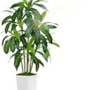 Dracaena Plant Artificial Tree 5Ft Tall Fake Tropical Floor Plants Potted Artificial Silk Tree Leaf Faux Trees White Tall Planter for Home Office Living Room Indoor Outdoor Decor