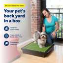 PetSafe Pet Loo Portable Dog Potty - Pet Toilet Alternative for Puppy Pads - Medium - Perfect for House Training - Easy-to-Clean Grass Mat