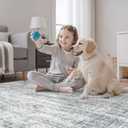 Soalmost 3x5 Rug, Small Area for Kitchen, Entryway, Machine Washable Non-Slip Throw Rug, Vintage Carpet for Nursery Coffee Table Grey