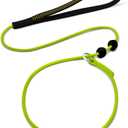 Slip Leads for Dogs,Top Speed Training Dogs Slip Lead,2-in-1 Slip Collar Dog Training Lead & Collar, Leash Suitable for Small, Medium, and Large Dogs Training leash6FT (Green)