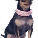 Dog Collars for Medium Dogs with Leash, Epesiri Spiked Dog Collar for Large Dogs, Girl Pink Dog Collar, Studded Rivet Pit Bull Leather Dog Collar Durable Cat Collar for Small Medium Large Pet Gift