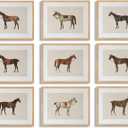 LOARTVE 9Pcs Vintage Horse Canvas Wall Art Posters,Farmhouse Horse Art Prints Rustic Gallery Wall Decor Pictures for Living Room Office Bedroom Decoration, Unframed (8"X10"X9PCS)