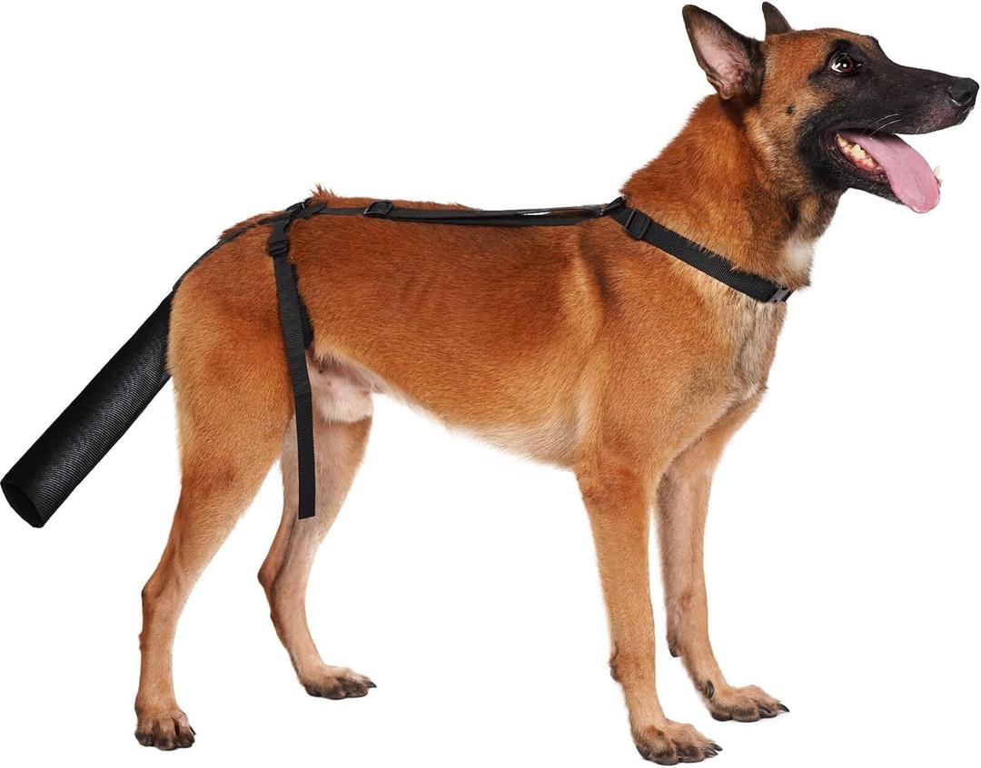 BARKLESS Dog Tail Protector, Dog Tail Guard for Large Dogs, Adjustable Cover to Prevents Licking Wounds, Breathable Tail End Bag for Recovery (Black, L)