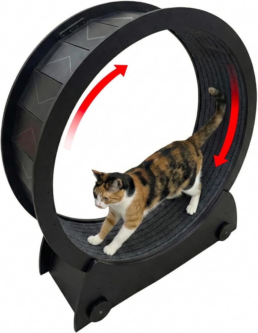Portable Cat Running Wheel for Indoor Cats 44" Large XL 12" Wide, Cat Treadmill, Wheel with Carpeted Runway for Kitty’s Longer Life, Moveable Safe & Stable Design.
