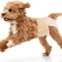 Ambreview Dog Diapers Female, Disposable Diapers for Female Dog with Stretchy Waist, Pull Up Puppy Wraps for Doggie in Heat Period Super Absorbent Leak-Proof Doggy Diaper for Dogs 10PCS (XS) (XS(Waist 8.6"-15.7"))