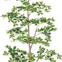 7ft Artificial Black Olive Tree, Faux Plants Indoor, Fake Black Olive Trees for Home Decor, Large Tall Tree - Indoor Decorative Plant & Potted Tree, 7 ft Faux Olive Tree for Home Office Decor (Green)