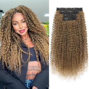 FLUFYMOOZ Clip in Hair Extensions, 20" 4PC 100％ Pure Protein Silk Hair Extensions for Black White Women Long Soft Curly Hair Extension Hairpiece(Dark Blonde to Light Brown)