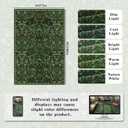 Floral Washable 6x9 Area Rug，Dark Green Boho Rugs for Living Room, Soft Low-Pile Non-Slip Stain Resistant & Non-Shedding Carpet for Bedroom, Dining Room, Office, Entryway, Nursery