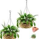 Skylety 2 Pieces 1:12 Miniature Dollhouse Plants Miniature Bonsai Plant Dollhouse Christmas Tree Mini Potted Houseplant Hanging Bonsai Pot Model for Toddlers Girls and Boys Toys DIY