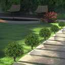 Artificial Boxwood Topiary Tree with Olive, Set of 2 Artificial Shrub Bushes with Ground Spike, Fake Evergreen Tree for Porch, Artificial Plants for Outdoor Planters Indoor UV Resistant