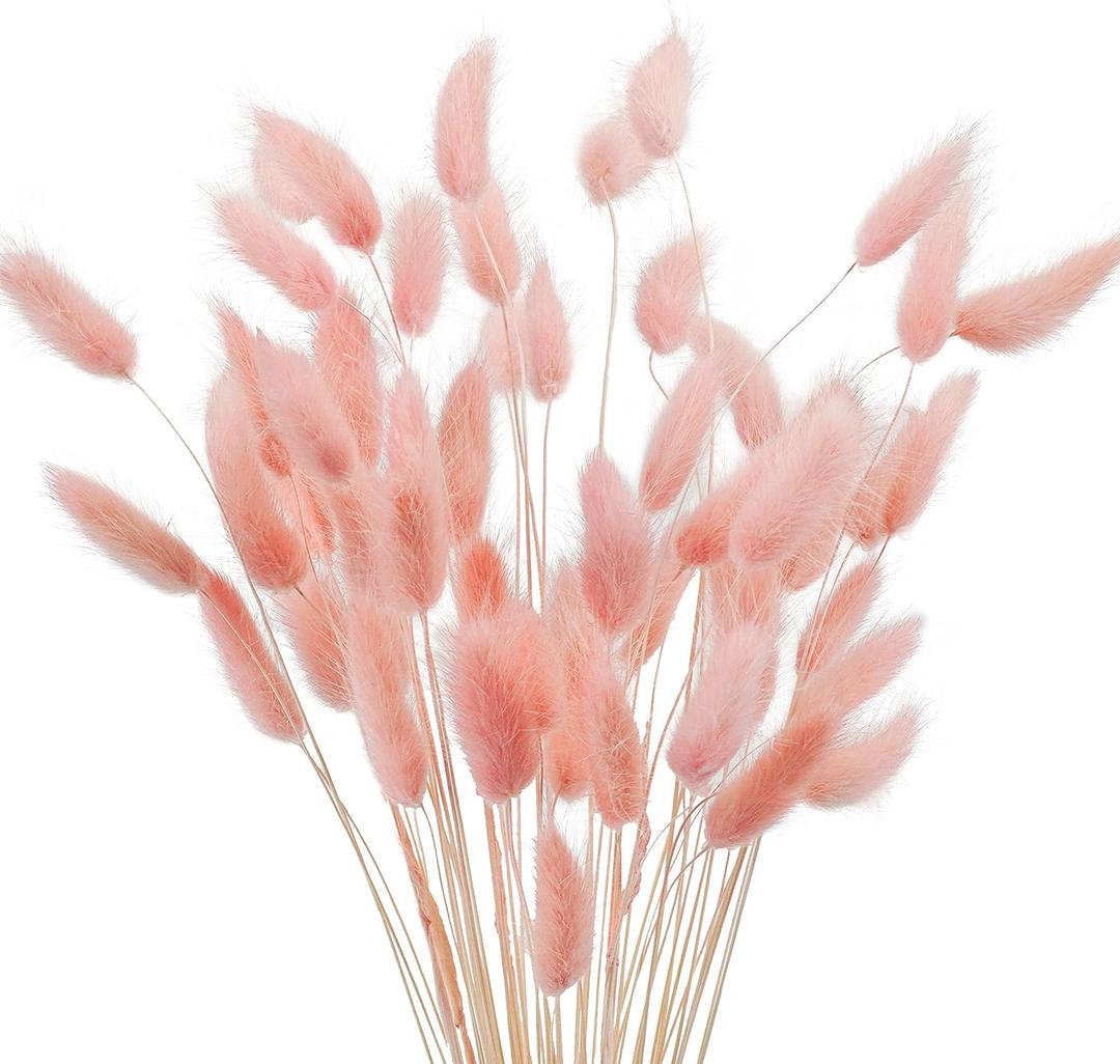Uieke 17 Natural Bunny Tails Dried Flowers, 50 Pcs Dried Lagurus Ovatus, Dried Pink Pampas Grass Decor for Farmhouse Flower Arrangements Wedding Home Boho Party Decorations