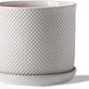 8 Inch Plant Pot: Ceramic Planter with Drainage Hole & Saucer Indoor Outdoor Plants - Flowerpot with Bonded Tray for Home Office - Beaded Embossed Style, Cream White