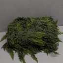 Waydress 1 Pcs 9ft Christmas Cedar Garland Artificial Realistic Soft and Thickness Green Faux Cedar Pine Garland for Home Fireplace Indoor Outdoor Holiday Party Decoration