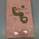 INH Hair Lola Ponytail Extension - Sandy Blonde | Lola 17 inch Clip in Straight Pony with Swoop, Secure Comb Base and Wrap Around Design, Mid-length for Women, Lightweight Vegan Synthetic Hair