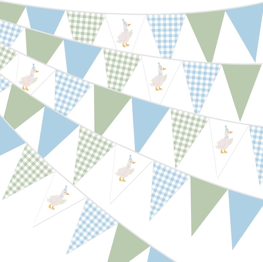 Pasimy 5 Pcs One Silly Goose Birthday Party Decorations Blue Green Gingham Print Pennant Banners Funny Geese Triangle Bunting Banners for Farm Animal Baby Shower First Birthday Party Decorations