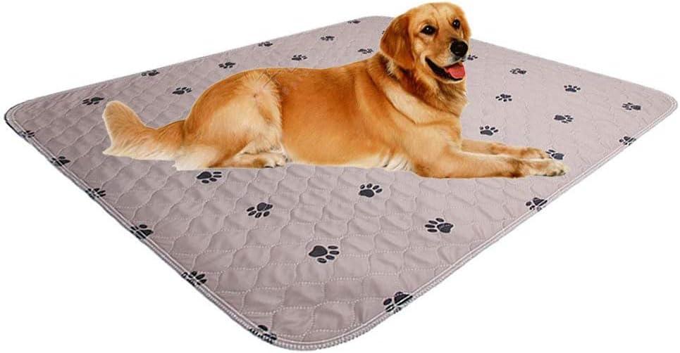 SincoPet Washable Dog Pee Pads with Puppy Grooming Gloves,Puppy Pads,Reusable Pet Training Pads,Large Dog Pee Pad,Waterproof Pet Pads for Dog Bed Mat,Super Absorbing Whelping Pads (36x41 Inch (Pack of 2))