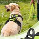Joytale No Pull Dog Harness Medium Sized Dog, Reflective Pet Vest with Front Clip, Adjustable Soft Padded Harnesses with Easy Control Handle for Training and Walking, Green, M