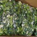 6FT Eucalyptus Garland with Flowers, 6 Pack Artificial Greenery Garland Hanging Spring Eucalyptus Garland Suitable for Table Wedding Backdrop Arch Wall Party UV Protected Indoor Outdoor Decor