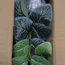 14.5" Artificial Plants Indoor Home Decor, Fake Potted Silk Plants for Shelves, Desks, Living Room, Home & Office Decor, Small Artificial Nerve Plant in Pots, Faux Potted Greenery Tropical House Plant