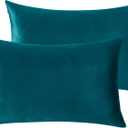 StangH Bed Pillow Pillowcase Thick Soft Velvet Fabric Zippered Pillow Covers for Bed/Couch/Sofa Decorative, Queen Size (Teal, 20 x 30 inches) Set of 2, Warm Cozy Protector