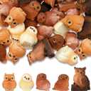 Wesiti 40 Pcs Resin Mini Owl Figurines Owl Miniature Figurines Bulk Mini Resin Statues for Summer Miniature Garden Accessories Micro Landscape Plant Pots Bonsai Fairy Decorations(Cute Style)