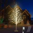 5FT Lighted Birch Tree with Twinkle Lights, 560 LED Warm White Lights with Timer, LED Lighted Christmas Tree for Indoor Outdoor Home Room Wedding Party Christmas Decorations