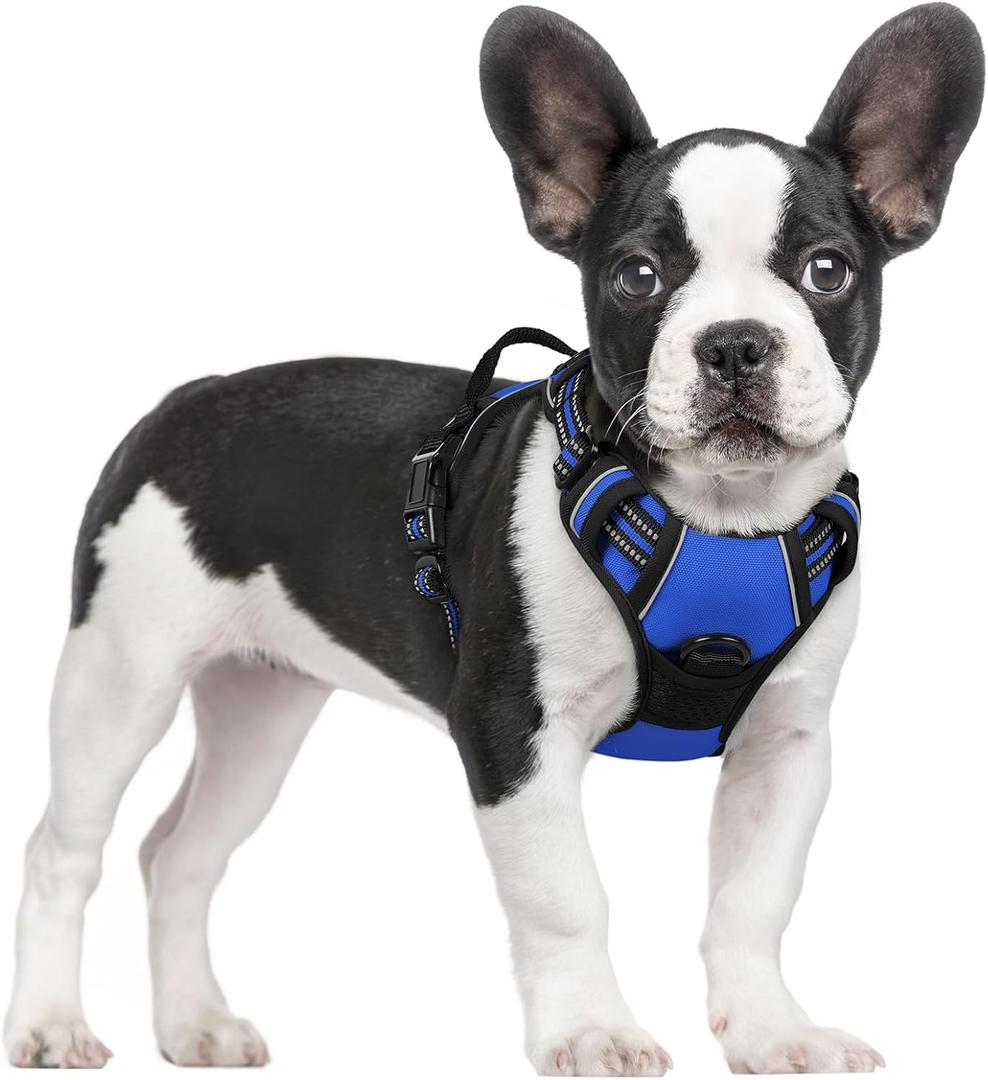 Rabbitgoo Dog Harness No Pull with 2 Leash Clips, Adjustable Soft Padded, Reflective Oxford No Choke Pet Vest with Easy Control Handle for Small Dogs, Dazzling Blue, S